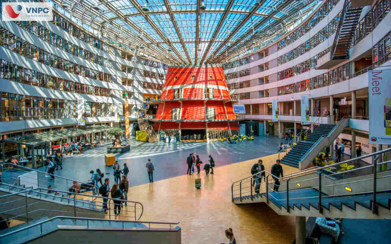 The HAGUE Pathway College